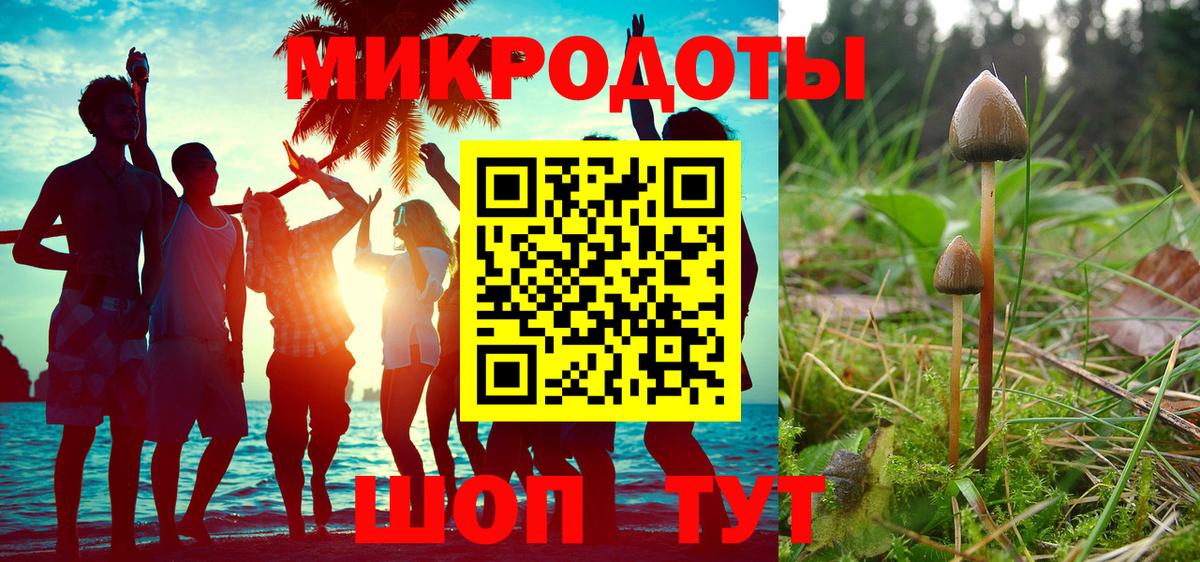 наркота  Вход с VPN  Кимовск  Псилоцибиновые грибы прущие грибы 